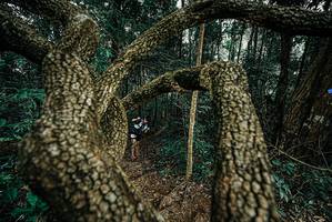 BIB: 
                            <button type="button" onclick="openModal(25702986)" class="btn btn-primary btn-sm float-right btn-popup" data-toggle="modal" data-target=".modal-high-quality">
                        <i class="fas fa-shopping-cart"></i> Add to Cart
                    </button>
                                            <button type="button" onclick="isThisMe(25702986, true)" class="btn btn-success btn-sm float-right btn-popup btn-isme hidden" data-toggle="tooltip" data-placement="bottom" title="นี่คือรูปของคุณใช่ไหม คลิกที่นี่เพื่อเอาเข้าอัลบั้ม">
                        <i class="fas fa-plus"></i> Add to album
                    </button>
                    <button type="button" onclick="isThisMe(25702986, false)" class="btn btn-warning btn-sm float-right btn-popup btn-isnotme hidden">
                        <i class="fas fa-ban"></i> Remove from album
                    </button>